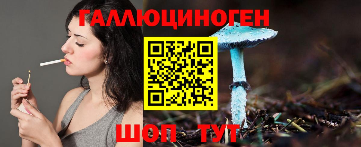 Бийск  Галлюциногенные грибы Magic Shrooms  Вход с VPN 